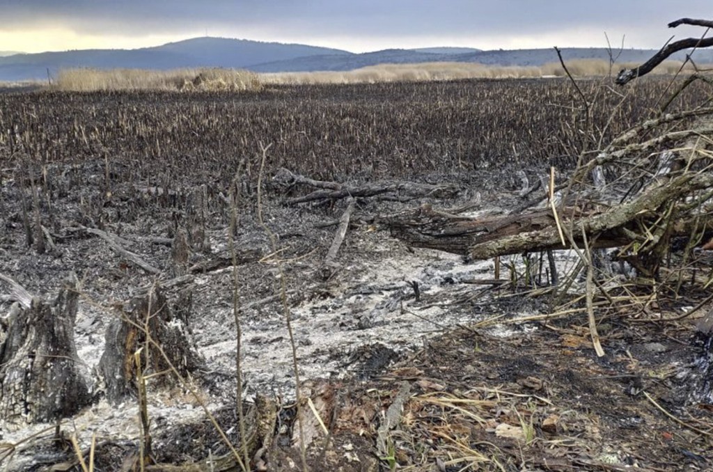 01 Dragoman Marsh 2020 photo BALKANI Wildlife Society