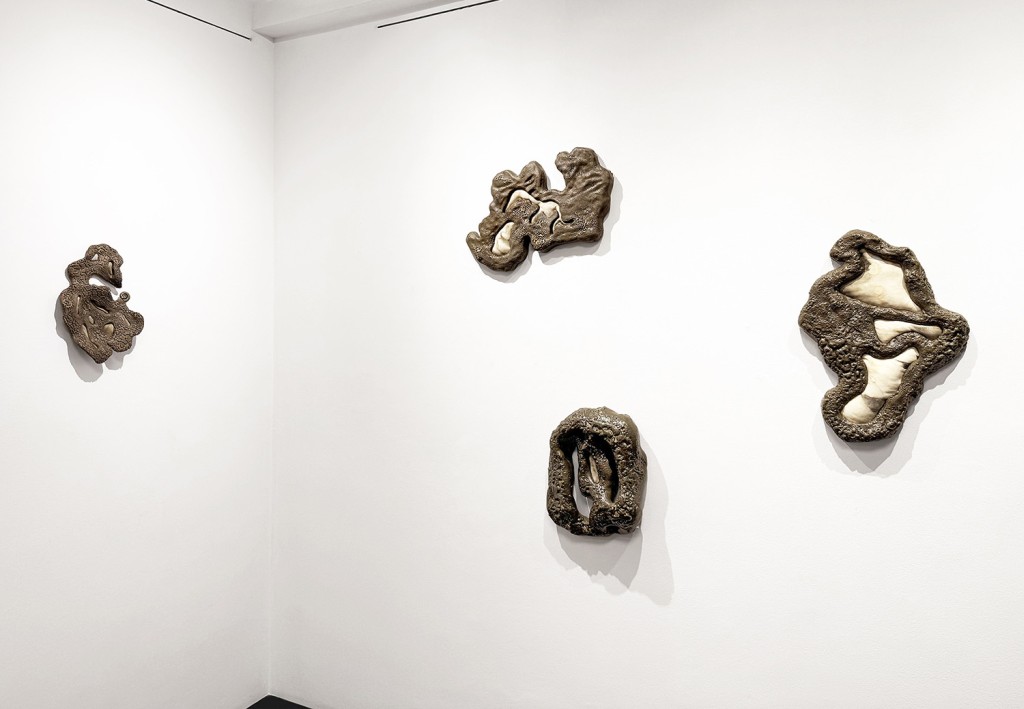 01 Maria Nalbantova Swamping 2025 01 Maria Nalbantova Swamping 2025