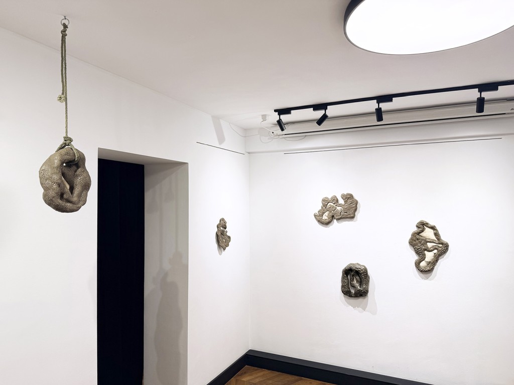 02 Maria Nalbantova Swamping 2025 02 Maria Nalbantova Swamping 2025