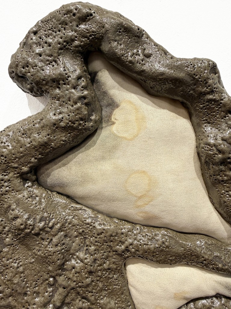 10 Maria Nalbantova Swamping 2025 10 Maria Nalbantova Swamping 2025