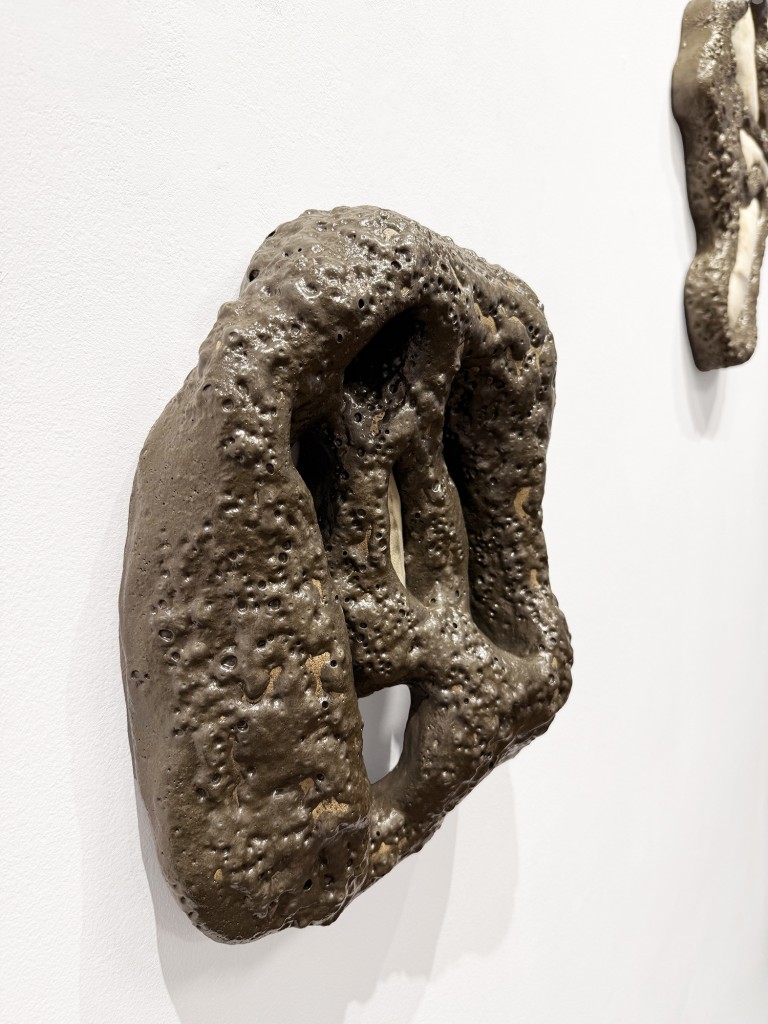 13 Maria Nalbantova Swamping 2025 13 Maria Nalbantova Swamping 2025