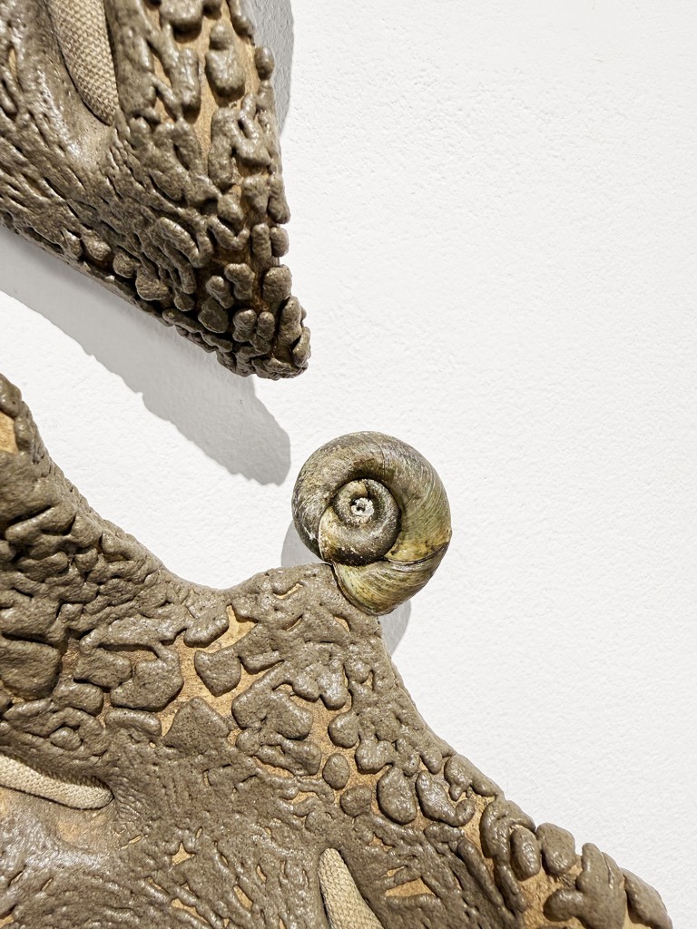 15 Maria Nalbantova Swamping 2025 15 Maria Nalbantova Swamping 2025