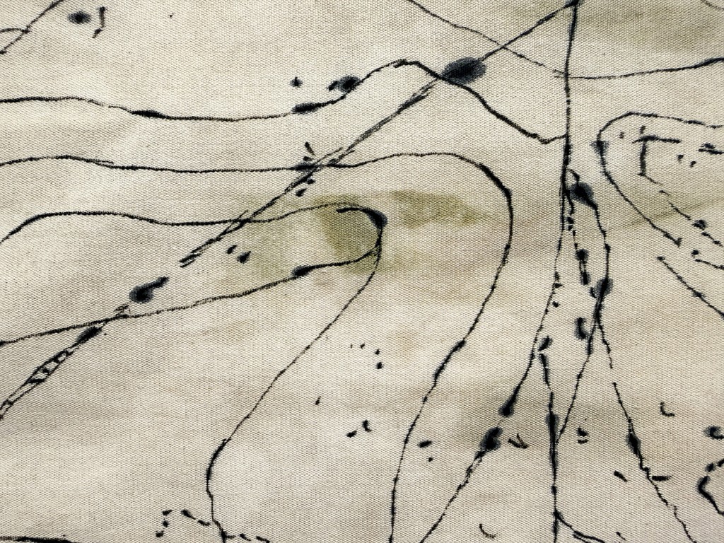 23 Maria Nalbantova Swamping 2025 23 Maria Nalbantova Swamping 2025