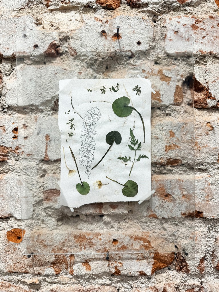 30 Maria Nalbantova Swamping 2025 30 Maria Nalbantova Swamping 2025