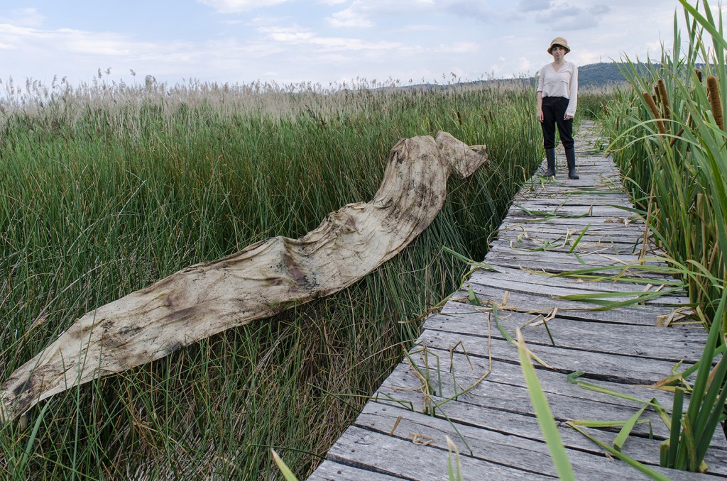 48 Dragoman Marsh Maria Nalbantova Photo Andrey Ralev 48 Dragoman Marsh Maria Nalbantova Photo Andrey Ralev